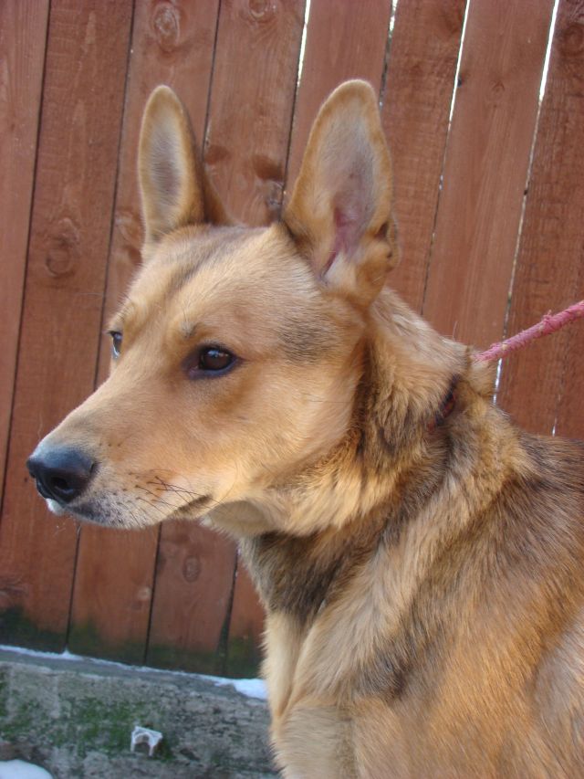 982061600047329