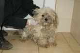 30.03.2017 BRZEZINY KALISKIE GMINA 72646 ♀