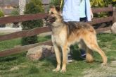 05.04.2017 JĘDRZEJÓW GMINA 48915 ♂ ZWROT Z ADOPCJI