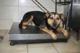 02.07.2018 WARTA GMINA 616093900492564 SAMIEC