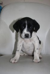 11.07.2017 WARTA GMINA 616093900387414 ♀