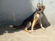 982061600047752