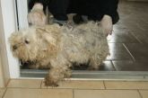 30.03.2017 BRZEZINY KALISKIE GMINA 72293 ♀
