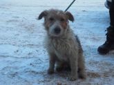 5.01.2016 OZORKÓW GMINA 72080 ♀