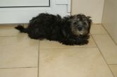 30.03.2017 BRZEZINY KALISKIE GMINA 72556 ♀