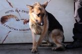 01.02.2014 ZGIERZ GMINA SUKA 56153