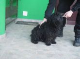 20.12.2016 KUTNO MIASTO 73559 ♀