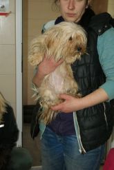 30.03.2017 BRZEZINY KALISKIE GMINA 72567 ♀