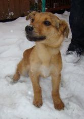13.03.08 Warta samiec 51178
