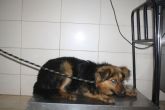 09.05.2018 KAMIEŃSK GMINA 616093900489957 SAMIEC