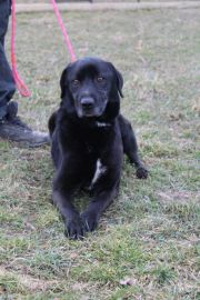 616093900800671