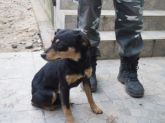 01.12.2016 ZGIERZ GM. 72173 ♀