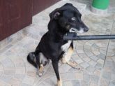 07.10.2016 ZAPOLICE 71888 ♀
