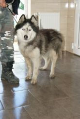 13.04.2017 ANDRESPOL GMINA 73086 ♀