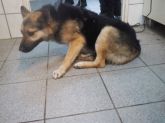07.12.2016 ANDRESPOL ♂