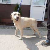 30.06.2015 Gmina Zgierz Samica