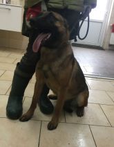17.01.2020 PODDĘBICE GMINA 616093900800703 SAMICA