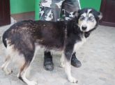10.11.2016 M. KUTNO  71792 ♀