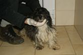 30.03.2017 BRZEZINY KALISKIE GMINA 71853 ♀