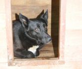 22.07.2017 LUTOMIERSK GMINA 616093900387246 ♀
