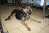 28.11.2017 OZORKÓW GMINA 616093900383750 ♀