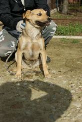 11.04.2017 TUREK GMINA 73239 ♂