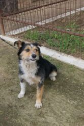 11.04.2017 TUREK GMINA 73241 ♀
