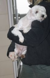 30.03.2017 BRZEZINY KALISKIE GMINA 71868 ♀