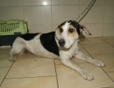 07.11.2017 WARTA GMINA 616093900383705 ♀