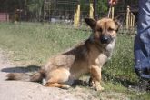 09.05.2018 OZORKÓW GMINA 616093900489805 SAMIEC