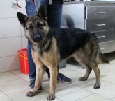 02.03.2020 DMOSIN GMINA 616093900800353 SAMICA