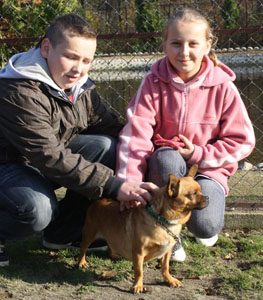 Dwie sobotnie adopcje w Wojtyszkach.