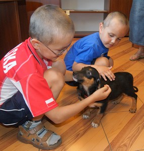 Zapraszamy na sobotnie adopcje.