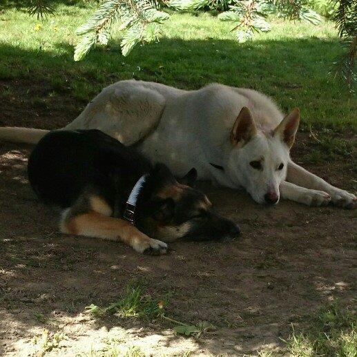 Misia i Vicky Misia i Vicky