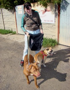 Dwie adopcje.