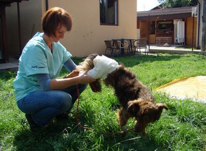 Udana rehabilitacja.