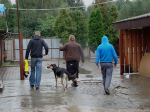 Cezar wrócił do Koluszek.