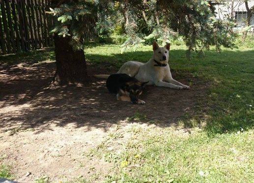 Misia i Vicky Misia i Vicky