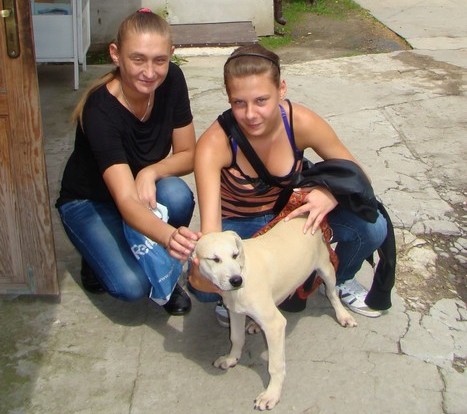Nowa adopcja
