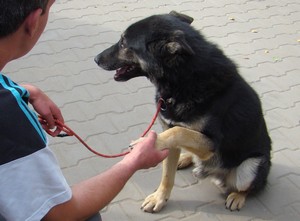 Nie chcą Cywila.
