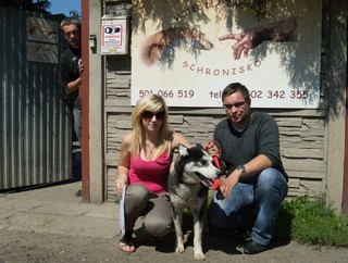Husky ma nowy dom