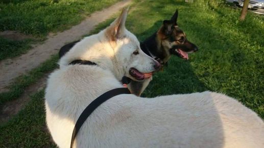 Misia i Vicky Misia i Vicky