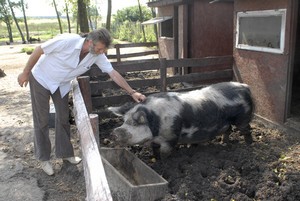Wacek nie będzie kiełbasą.