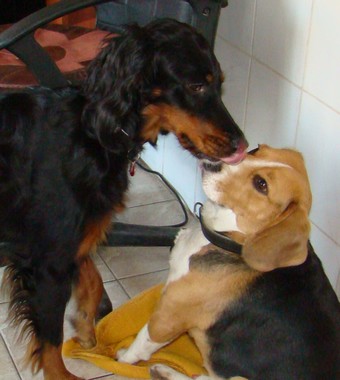 Lala w odwiedzinach.