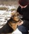 Wiele wycierpiał. Zachęcamy do jego adopcji.